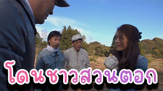 โดนชาวสวนตอกหี ไหนว่าจะมาขอศึกษาดูงานแต่กับโดนคนมาดูงานรุมเย็ดคาสวน